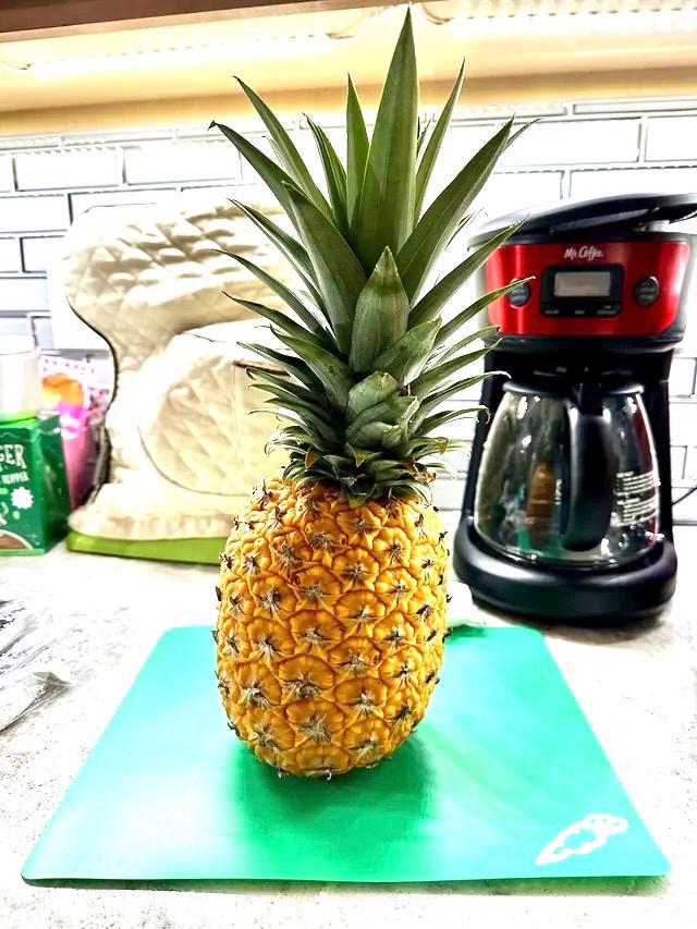 Ananas Elite Gold (Gold pineapple) starter plant **(ALL plants require you to purchase ANY 2 plants!)**