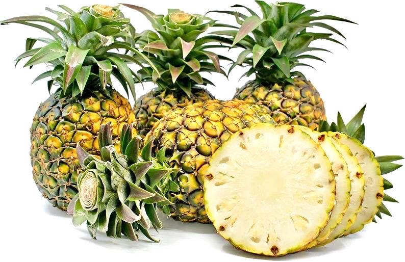 Ananas Sugarloaf (pineapple) starter plant **(ALL plants require you to purchase ANY 2 plants!)**