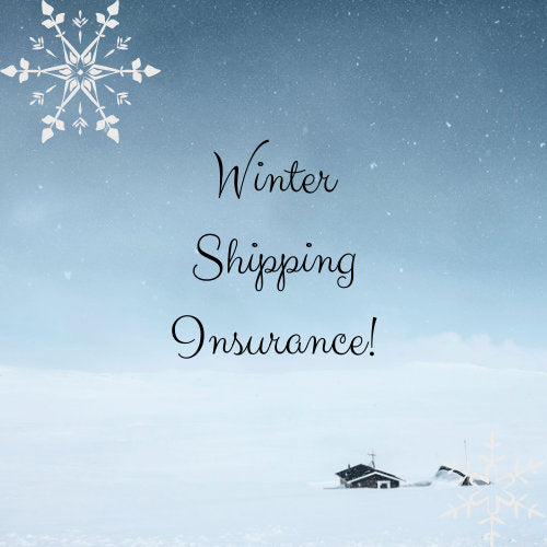 Winter Shipping Insurance